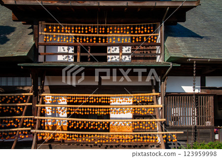 (Yamanashi Prefecture) Former Takano Family Residence (Kanso-yashiki) Persimmons on the eaves seen from the living room 123959998