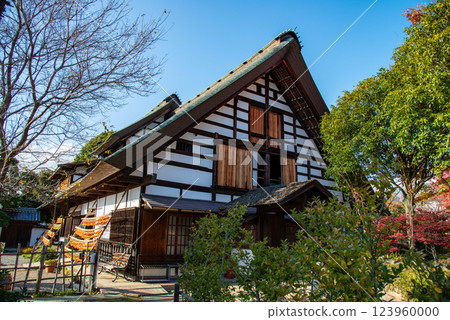 (Yamanashi Prefecture) Former Takano Family Residence (Kanso-yashiki) Persimmons on the eaves seen from the living room (Yamanashi Prefecture) Former Takano Family Residence (Kanso-yashiki) Persimmons on the eaves seen from the living room 123960000