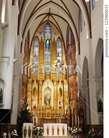 Vietnam Hanoi Church 123960031