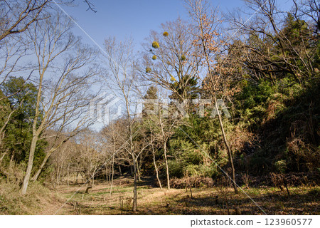 Scenery of a mountain village with fallen leaves Scenery of a mountain village with fallen leaves 123960577