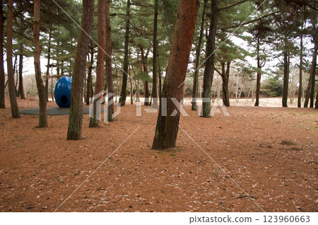 Scenery of Hitachi Seaside Park 123960663