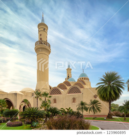 Majestic view of Ash Shaliheen Mosque in Bandar Seri Begawan, Brunei Darussalam under a clear sky Majestic view of Ash Shaliheen Mosque in Bandar Seri Begawan, Brunei Darussalam under a clear sky 123960895