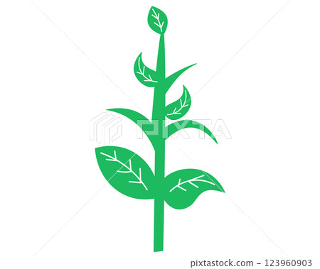 芽生長。向量插圖 123960903