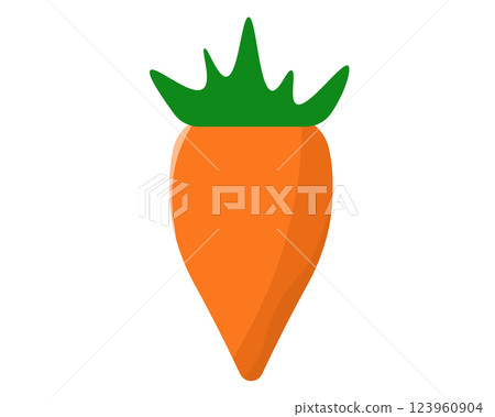 Carrot. Carrot. Vector illustration 123960904