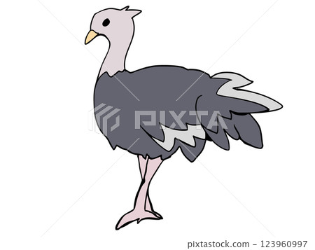 圓形鴕鳥 圓形鴕鳥 123960997