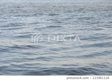 海洋 123961126