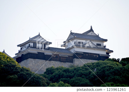愛媛郡松山市_城山公園至松山城6_2024年5月 123961261