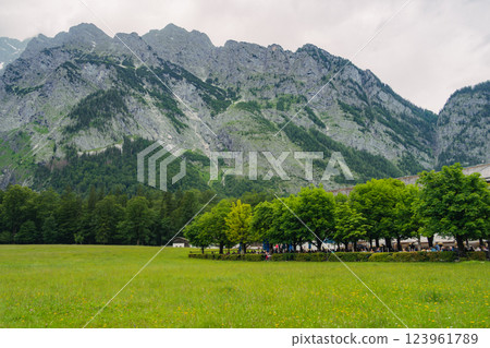 A stunning view of a lush green forest surrounded by towering mountain peaks. The serene landscape evokes a sense of peace and natural beauty, perfect for nature enthusiasts. Konigssee lake Bavaria 123961789