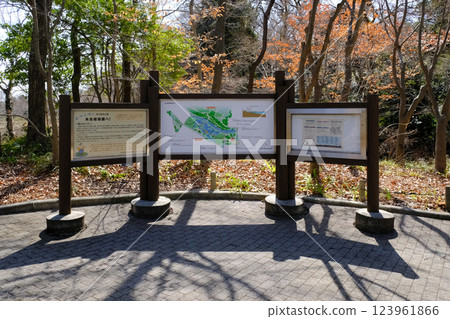 東京都調布市神代植物園、水生植物園、資訊委員會 東京都調布市神代植物園、水生植物園、資訊委員會 123961866