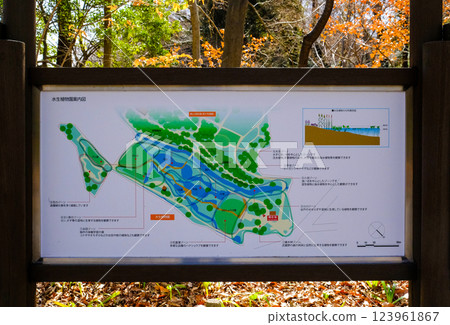 東京都調布市神代植物園、水生植物園、資訊委員會 東京都調布市神代植物園、水生植物園、資訊委員會 123961867