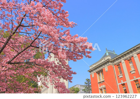 名古屋市立檔案館和愛知縣名古屋的櫻花 名古屋市立檔案館和愛知縣名古屋的櫻花 123962227