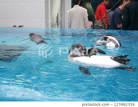 Toba Aquarium in Toba City, Mie Prefecture Toba Aquarium in Toba City, Mie Prefecture 123962356