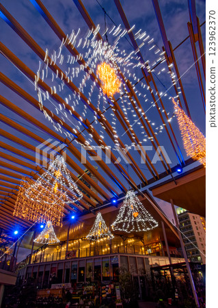 Illumination of Tennoji Park Illumination of Tennoji Park 123962370