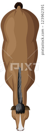 Top-Down View of a Horse Top-Down View of a Horse 123962391