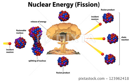 Nuclear Fission Process Illustrated 123962418