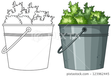 Bucket of Fresh Green Lettuce 123962445