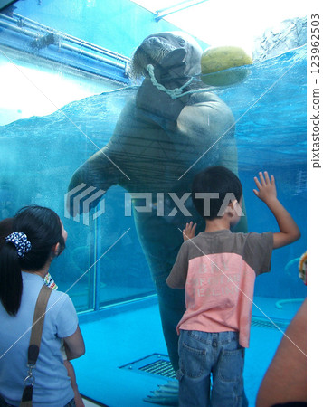 Toba Aquarium in Toba City, Mie Prefecture Toba Aquarium in Toba City, Mie Prefecture 123962503
