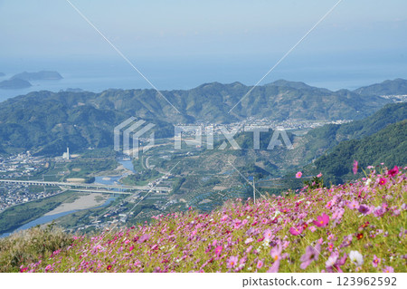 Cosmos and autumn scenery seen from Washigamine Cosmos and autumn scenery seen from Washigamine 123962592
