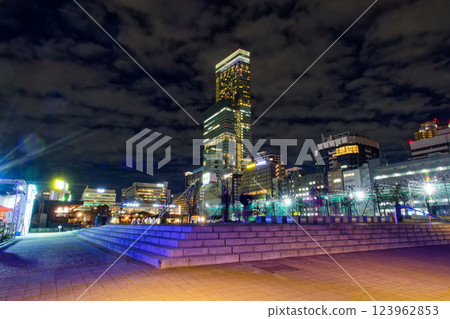 天王寺公園的燈飾和阿倍野Harukas的夜景 天王寺公園的燈飾和阿倍野Harukas的夜景 123962853