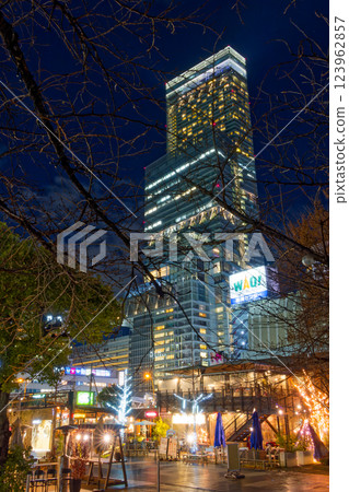 天王寺公園的燈飾和阿倍野Harukas的夜景 123962857