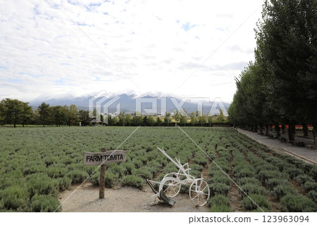 富田農場 富田農場 123963094