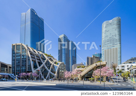 Cherry blossoms in full bloom at Azabudai Hills, Tokyo 123963164