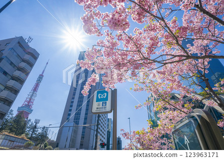 Cherry blossoms in full bloom at Azabudai Hills, Tokyo Cherry blossoms in full bloom at Azabudai Hills, Tokyo 123963171
