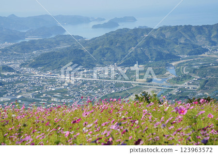 Cosmos and beautiful scenery seen from the summit of Mt. Washigamine Cosmos and beautiful scenery seen from the summit of Mt. Washigamine 123963572