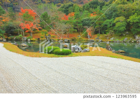 秋季的天龍寺花園（京都市） 123963595