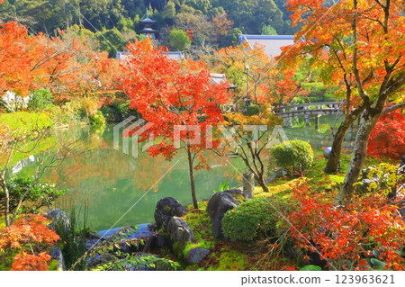 秋天的永觀道（京都市） 123963621