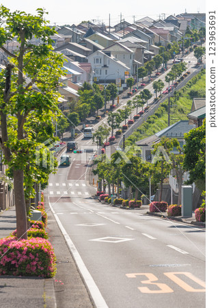 Hilly residential street 123963691