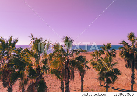 Seascape with palm trees against the sunset sky Seascape with palm trees against the sunset sky 123963860