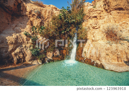 David waterfall in the Ein Gedi nature reserve. Israel 123963918