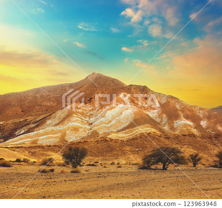 Mountainous desert with colorful cloudy sky. Judean desert in Israel at sunset Mountainous desert with colorful cloudy sky. Judean desert in Israel at sunset 123963948