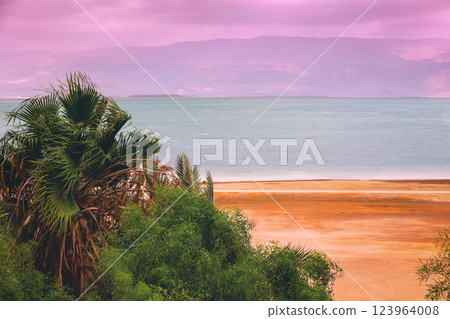 Seascape at pink sunrise. Dead Sea shore with palms. View of Jordan from Israel 123964008