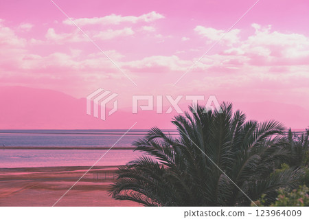 Seascape at pink sunrise. Dead Sea shore with palms. View of Jordan from Israel Seascape at pink sunrise. Dead Sea shore with palms. View of Jordan from Israel 123964009