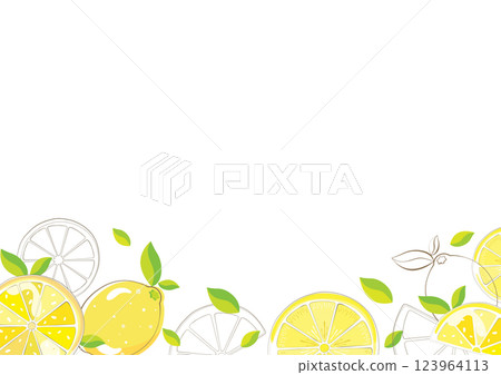 Citrus lemon slices and leaf decoration Fruit illustration frame material 123964113