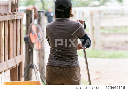 horse, female, females 123964126