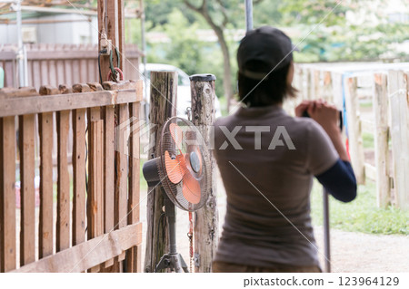 horse, female, females 123964129