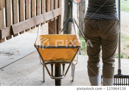 馬 馬兒 女生 123964130