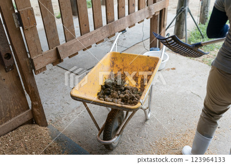 馬 馬兒 女生 123964133