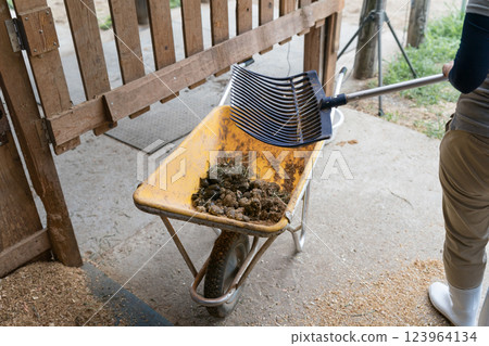 女生 女孩 女性 123964134