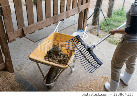 女生 女孩 女性 123964135