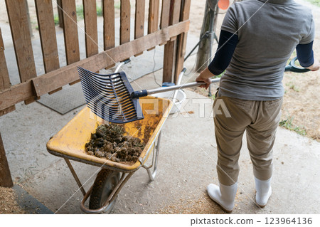 馬 馬兒 女生 123964136