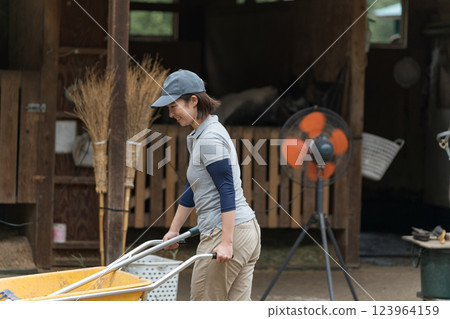 female, females, woman 123964159