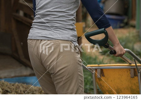 馬 馬兒 女生 123964165