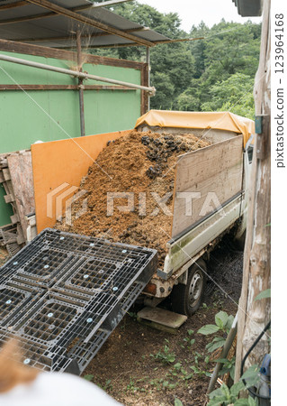 馬 馬兒 打掃 123964168