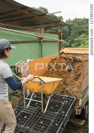 女生 女孩 女性 123964169
