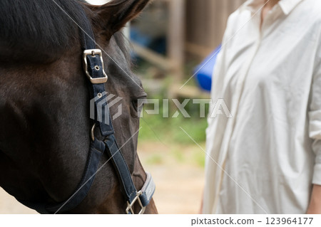 馬 馬兒 女生 123964177