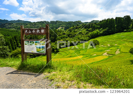 Oyama Senmaida Rice Fields, Kamogawa City, Chiba Prefecture Oyama Senmaida Rice Fields, Kamogawa City, Chiba Prefecture 123964201